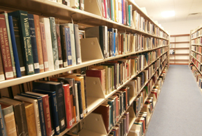 Library Shelves-CTA