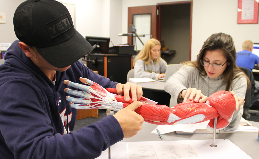 Students working in lab.