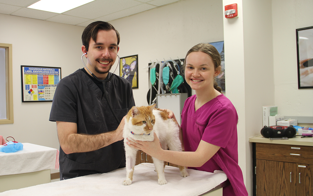 Male and female student working with cat.